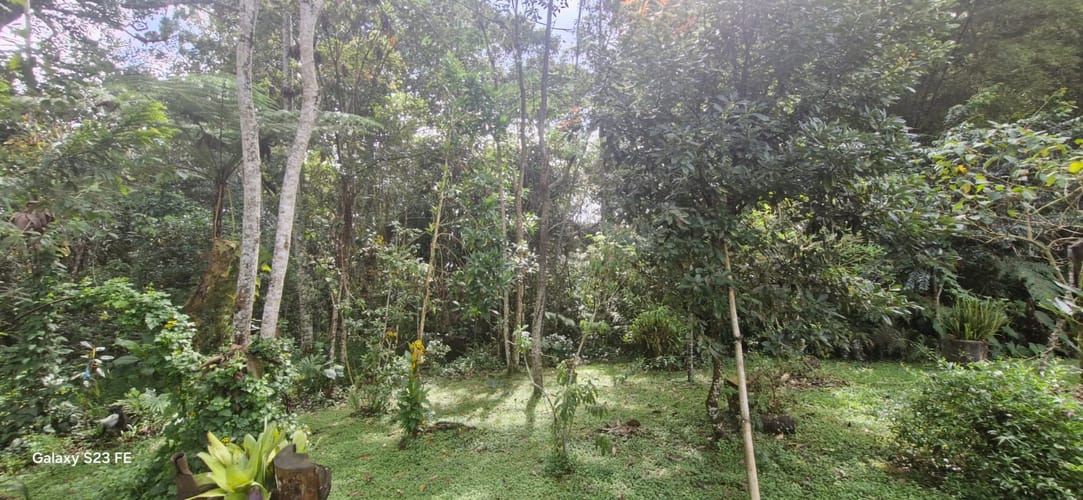 Lote en venta en El Porvenir, Rionegro, 3335 m² · foto 12 de 16