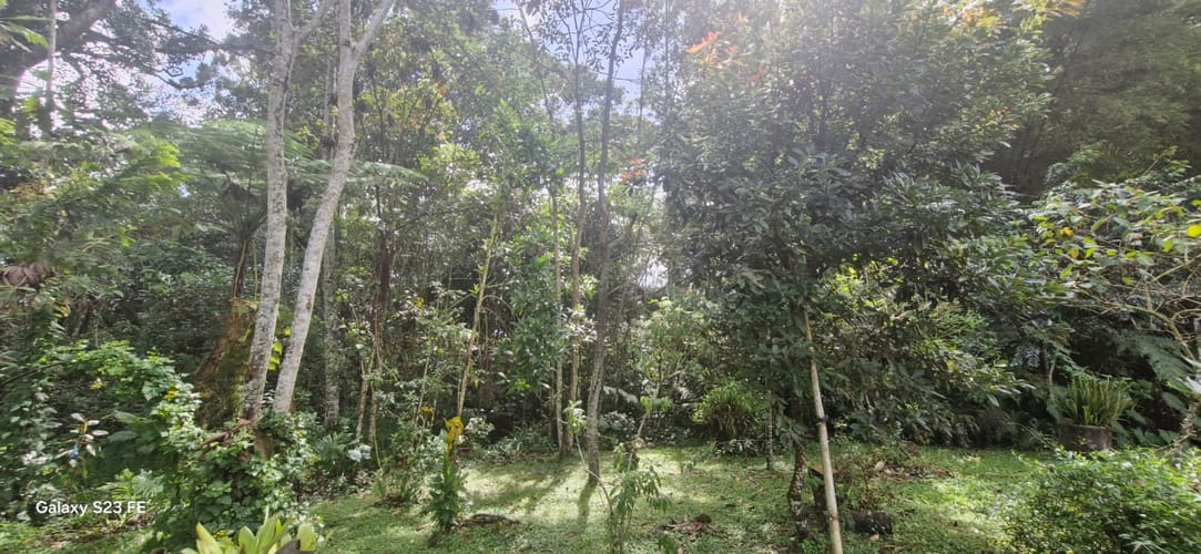 Lote en venta en El Porvenir, Rionegro, 3335 m² · foto 13 de 16