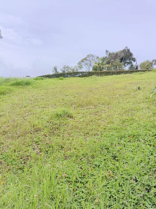 Lote en venta en El Carmen De Viboral, El Carmen de Viboral, 2500 m² · foto 8 de 8