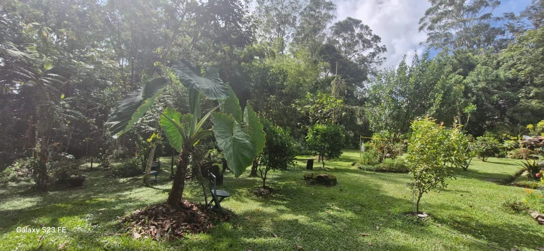 Lote en venta en El Porvenir, Rionegro, 3335 m² · foto 14 de 16