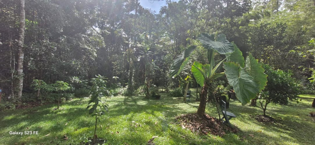 Lote en venta en El Porvenir, Rionegro, 3335 m² · foto 15 de 16