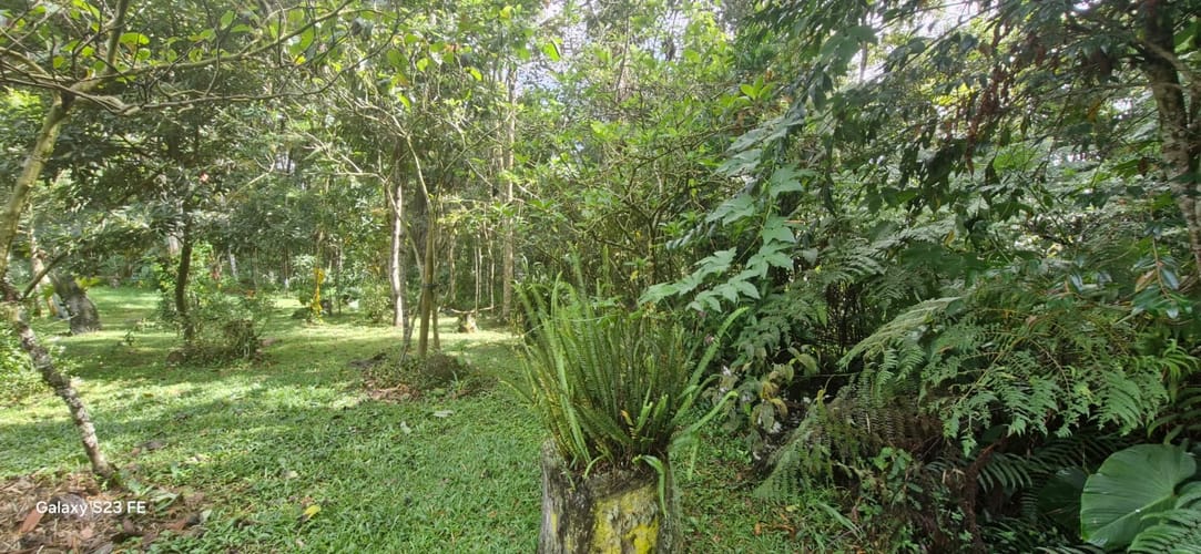 Lote en venta en El Porvenir, Rionegro, 3335 m² · foto 16 de 16