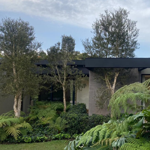 Casa de 3 alcobas en venta en Pantanillo, El Retiro, 270 m² · foto 2 de 15