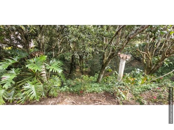 Finca en venta en El Carmen De Viboral, El Carmen de Viboral, 300 m² · foto 23 de 24