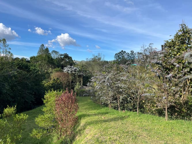 Casa de 3 alcobas en venta en El Retiro, 460 m² · foto 18 de 24