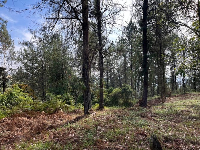 Lote en venta en El Porvenir, Rionegro, 51180 m² · foto 3 de 18