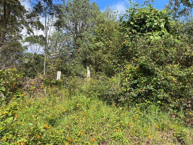 Lote en venta en El Porvenir, Rionegro, 51180 m² · foto 6 de 18