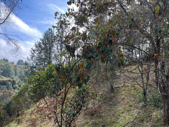 Lote en venta en El Porvenir, Rionegro, 51180 m² · foto 8 de 18
