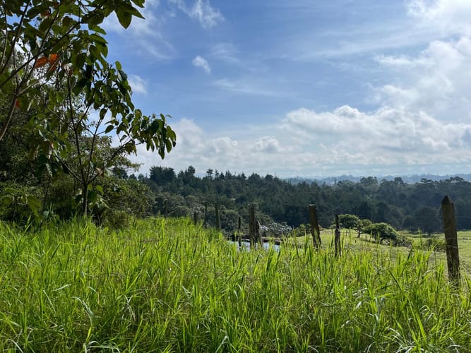Lote en venta en El Porvenir, Rionegro, 51180 m² · foto 9 de 18