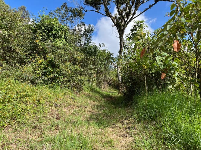 Lote en venta en El Porvenir, Rionegro, 51180 m² · foto 10 de 18