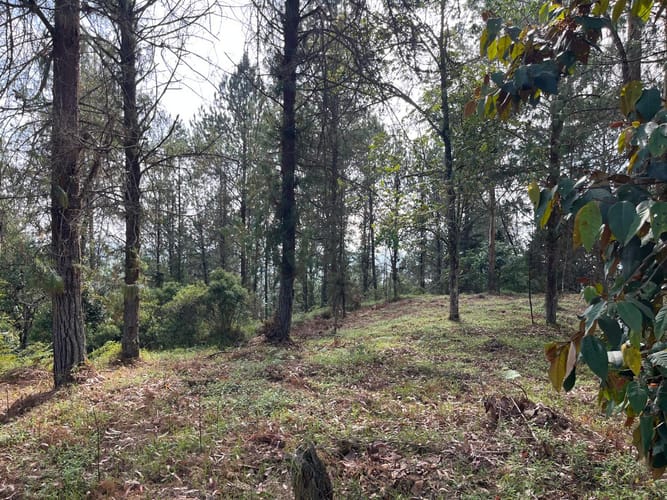 Lote en venta en El Porvenir, Rionegro, 51180 m² · foto 11 de 18
