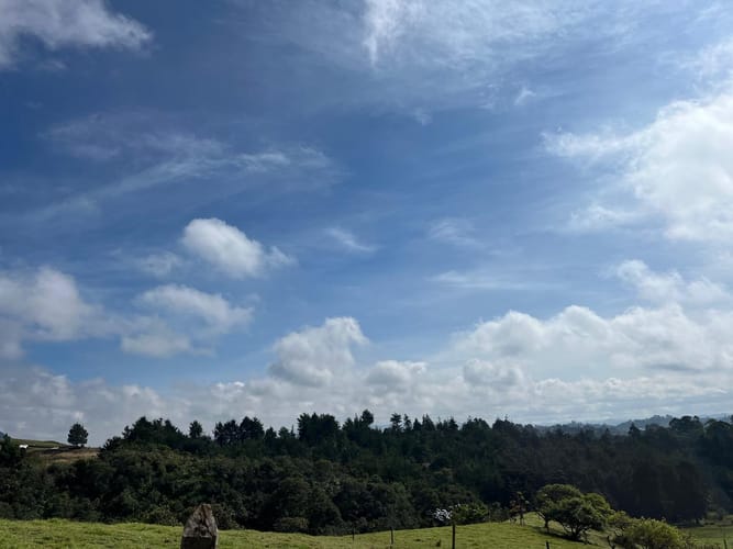 Lote en venta en El Porvenir, Rionegro, 51180 m² · foto 12 de 18