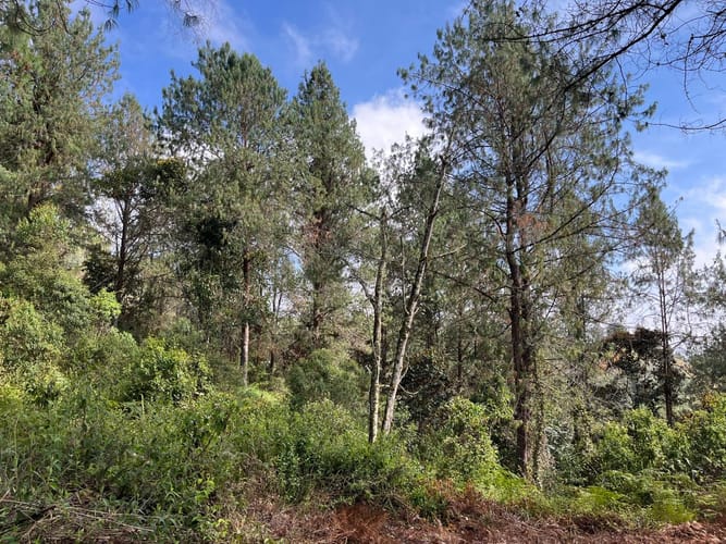 Lote en venta en El Porvenir, Rionegro, 51180 m² · foto 13 de 18