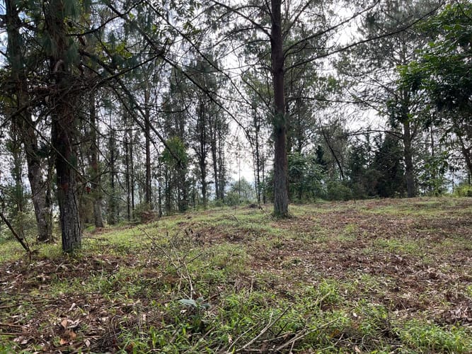 Lote en venta en El Porvenir, Rionegro, 51180 m² · foto 14 de 18
