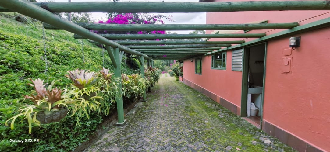 Finca en venta en El Porvenir, Rionegro, 230 m² · foto 20 de 24