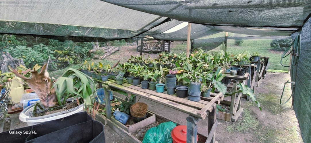 Finca en venta en El Porvenir, Rionegro, 230 m² · foto 23 de 24