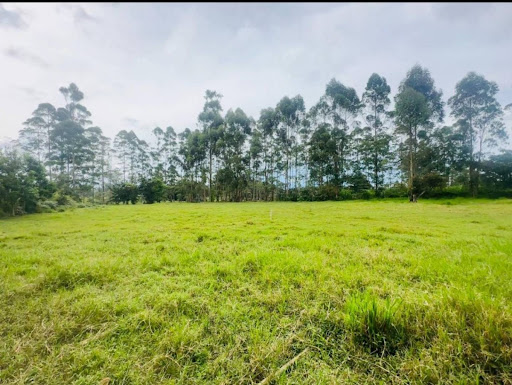 Land in El porvenir for Sale