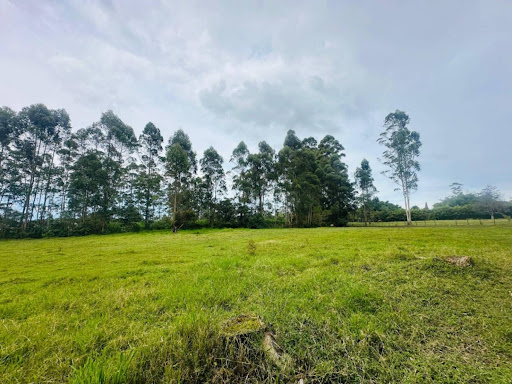 Land in El porvenir for Sale - 2