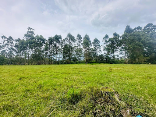 Land in El porvenir for Sale - 3