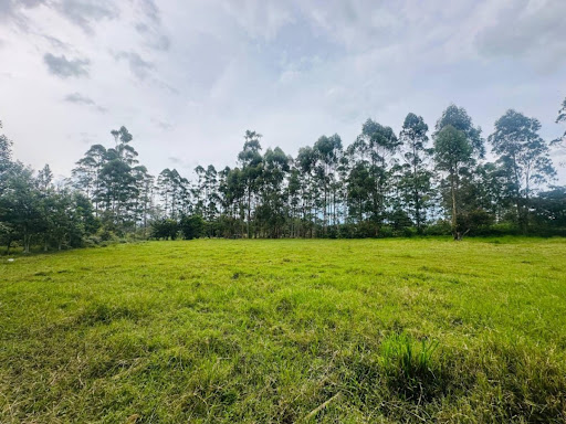 Land in El porvenir for Sale - 4
