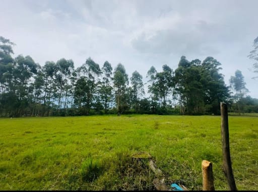 Lote en venta en El Porvenir, Rionegro, 13866 m² · foto 5 de 10