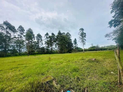 Lote en venta en El Porvenir, Rionegro, 13866 m² · foto 6 de 10