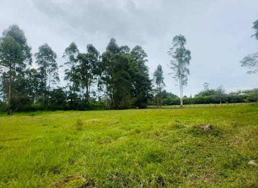 Lote en venta en El Porvenir, Rionegro, 13866 m² · foto 7 de 10