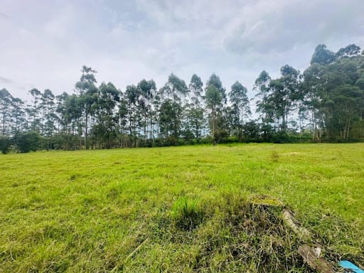 Lote en venta en El Porvenir, Rionegro, 13866 m² · foto 8 de 10