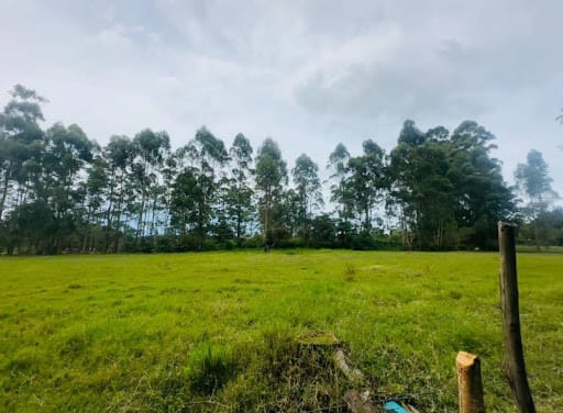 Lote en venta en El Porvenir, Rionegro, 13866 m² · foto 9 de 10