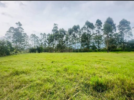 Lote en venta en El Porvenir, Rionegro, 13866 m² · foto 10 de 10