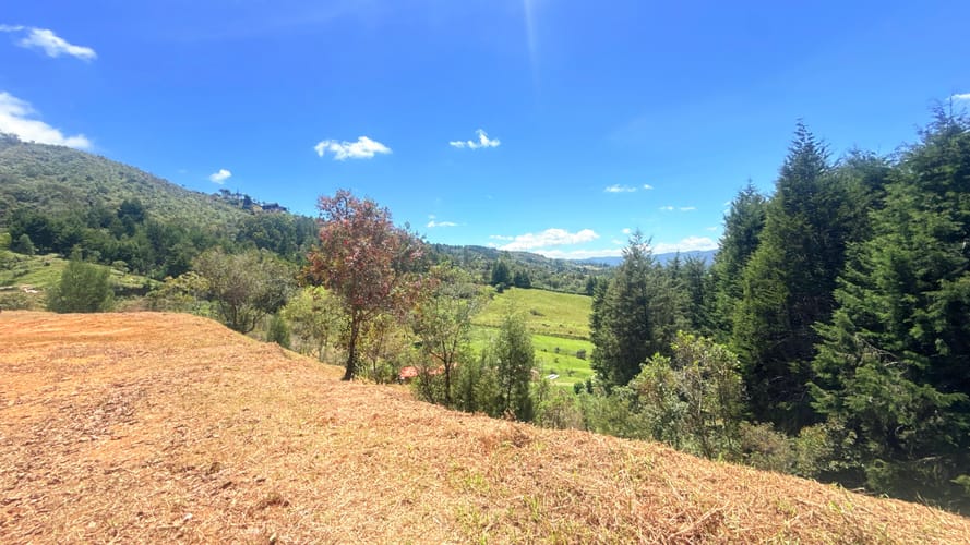 Lote en venta en El Porvenir, Rionegro, 10000 m² · foto 4 de 10
