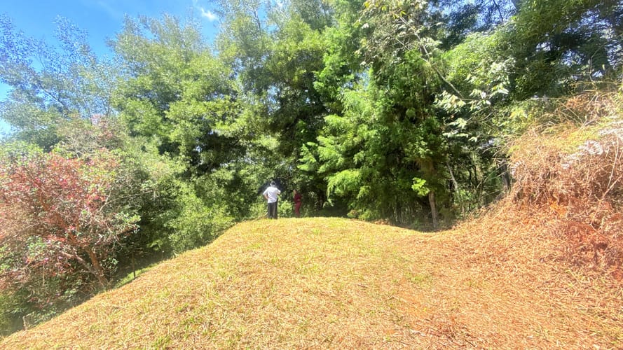 Lote en venta en El Porvenir, Rionegro, 10000 m² · foto 6 de 10