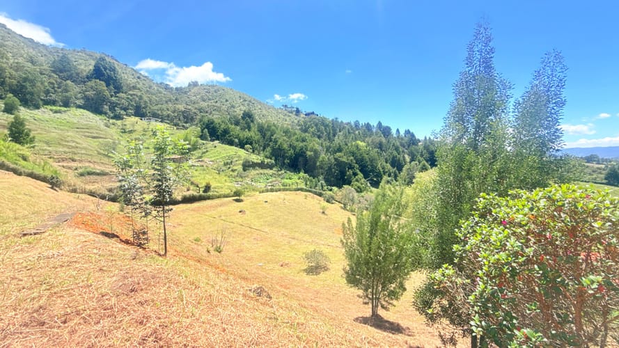 Lote en venta en El Porvenir, Rionegro, 10000 m² · foto 8 de 10