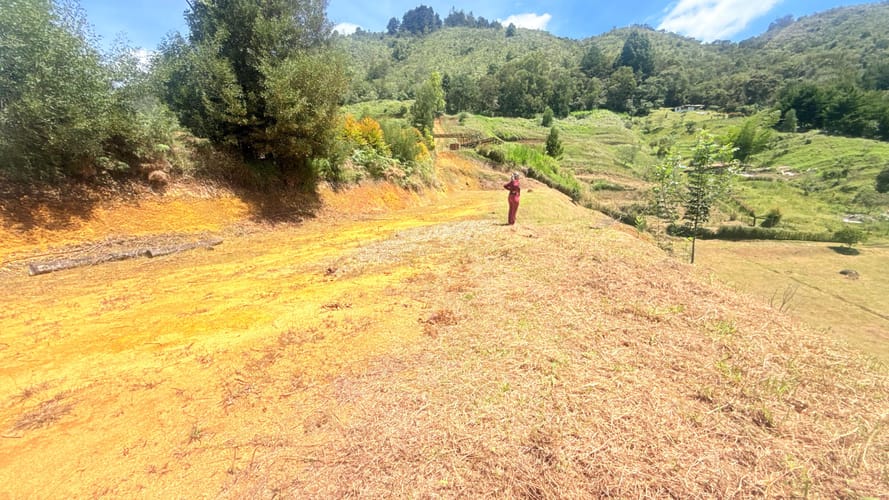 Lote en venta en El Porvenir, Rionegro, 10000 m² · foto 9 de 10