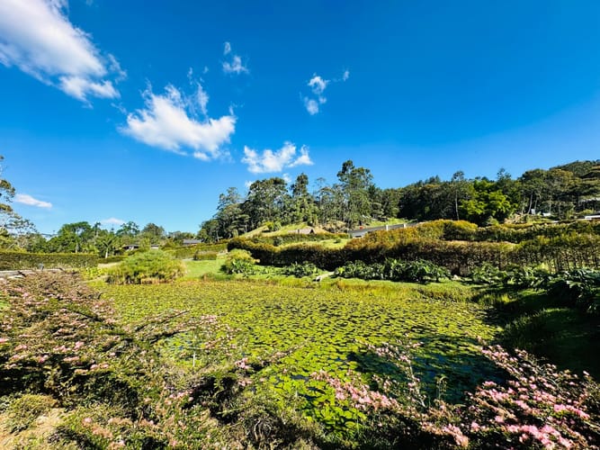 Casa de 3 alcobas en venta en El Porvenir, Rionegro, 230 m² · foto 13 de 13