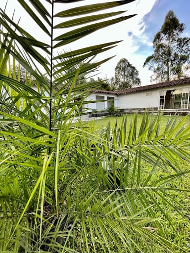 Casa de 3 alcobas en venta en El Porvenir, Rionegro, 350 m² · foto 11 de 12