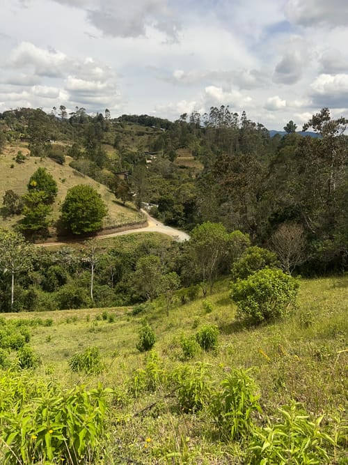 Lote en venta en Pantanillo, El Retiro, 5241 m² · foto 2 de 10
