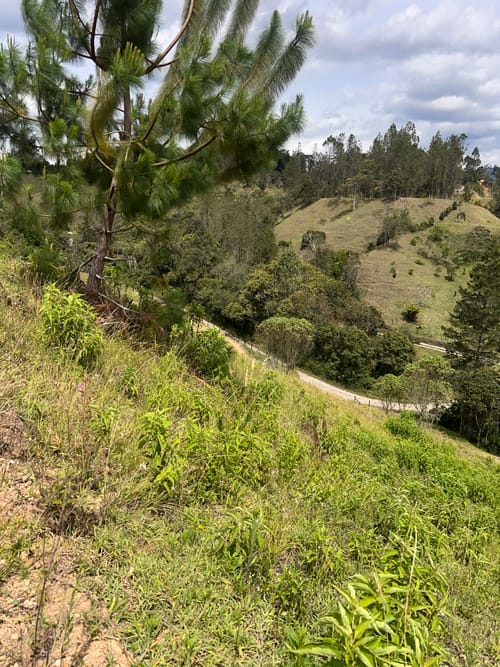 Lote en venta en Pantanillo, El Retiro, 5241 m² · foto 3 de 10