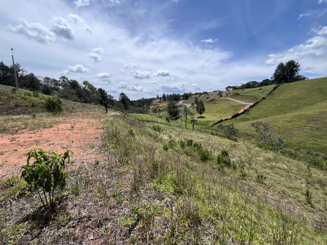 Lote en venta en El Carmen de Viboral, 2537 m² · foto 5 de 12
