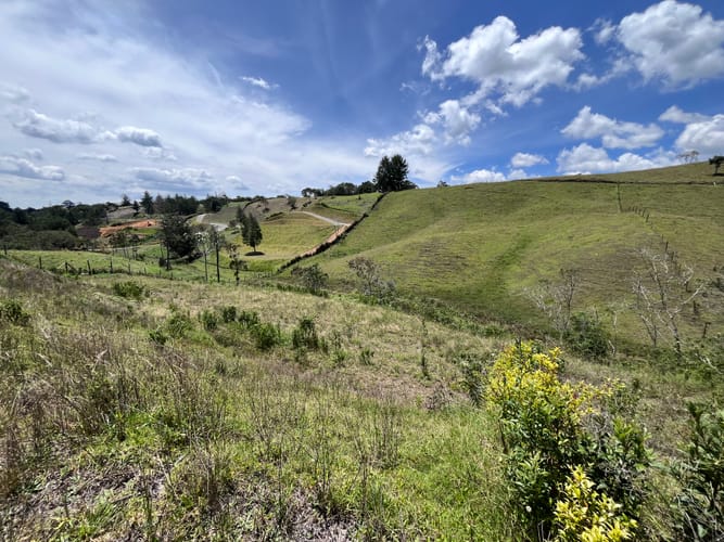 Lote en venta en El Carmen de Viboral, 2537 m² · foto 6 de 12