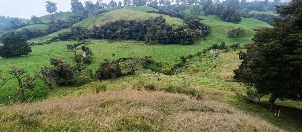 Lote en venta en Tierradentro, Bello, 14060 m² · foto 2 de 6