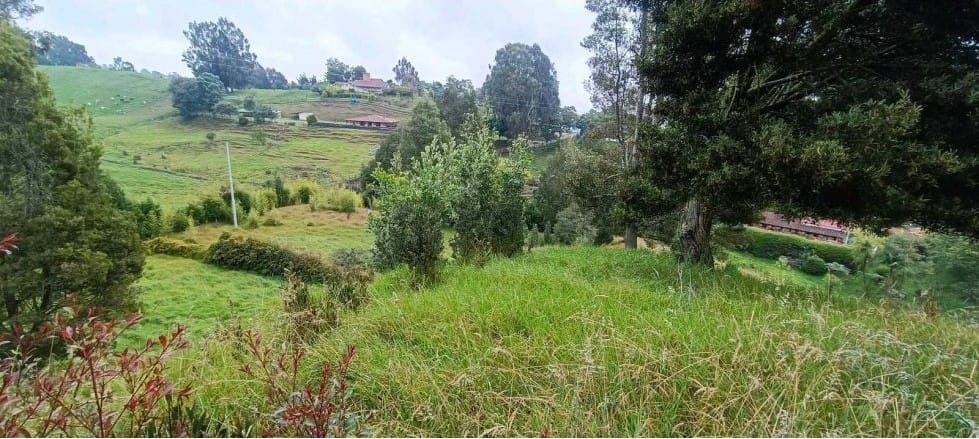 Lote en venta en Tierradentro, Bello, 14060 m² · foto 3 de 6