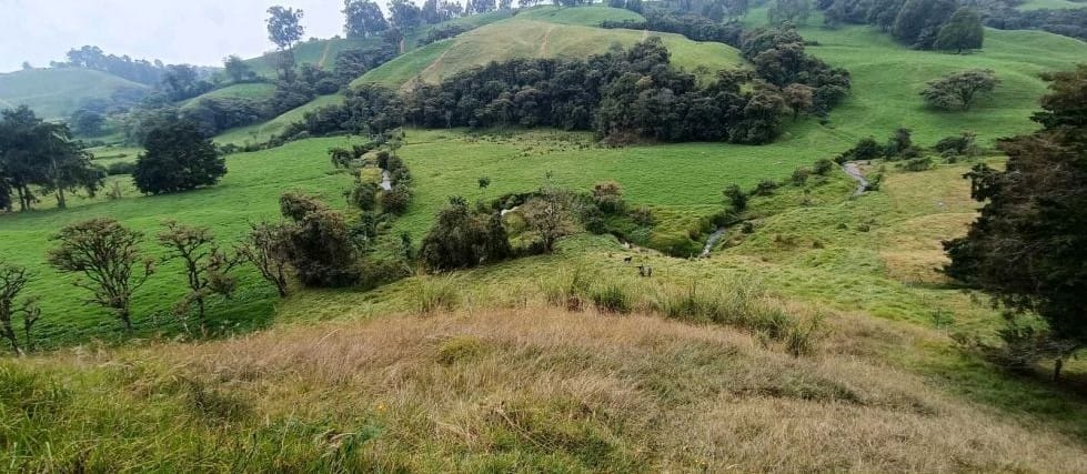 Lote en venta en Tierradentro, Bello, 14060 m² · foto 4 de 6