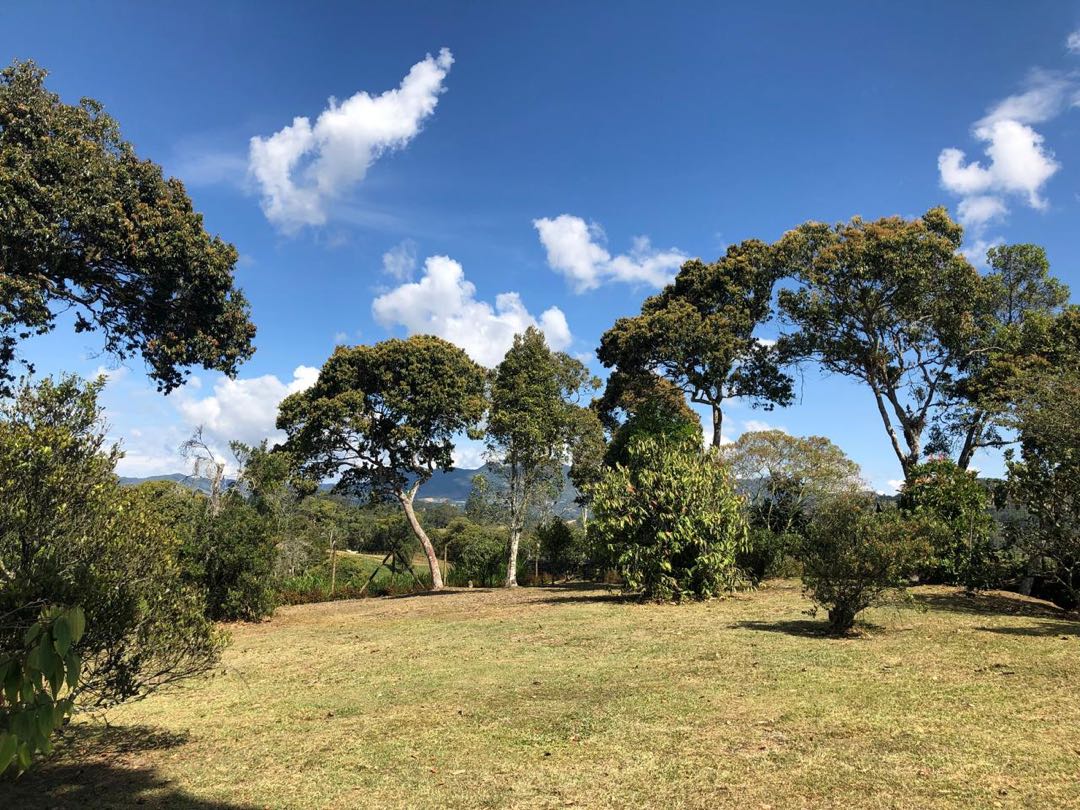 Land in Santa Elena (2926 m²) for Sale