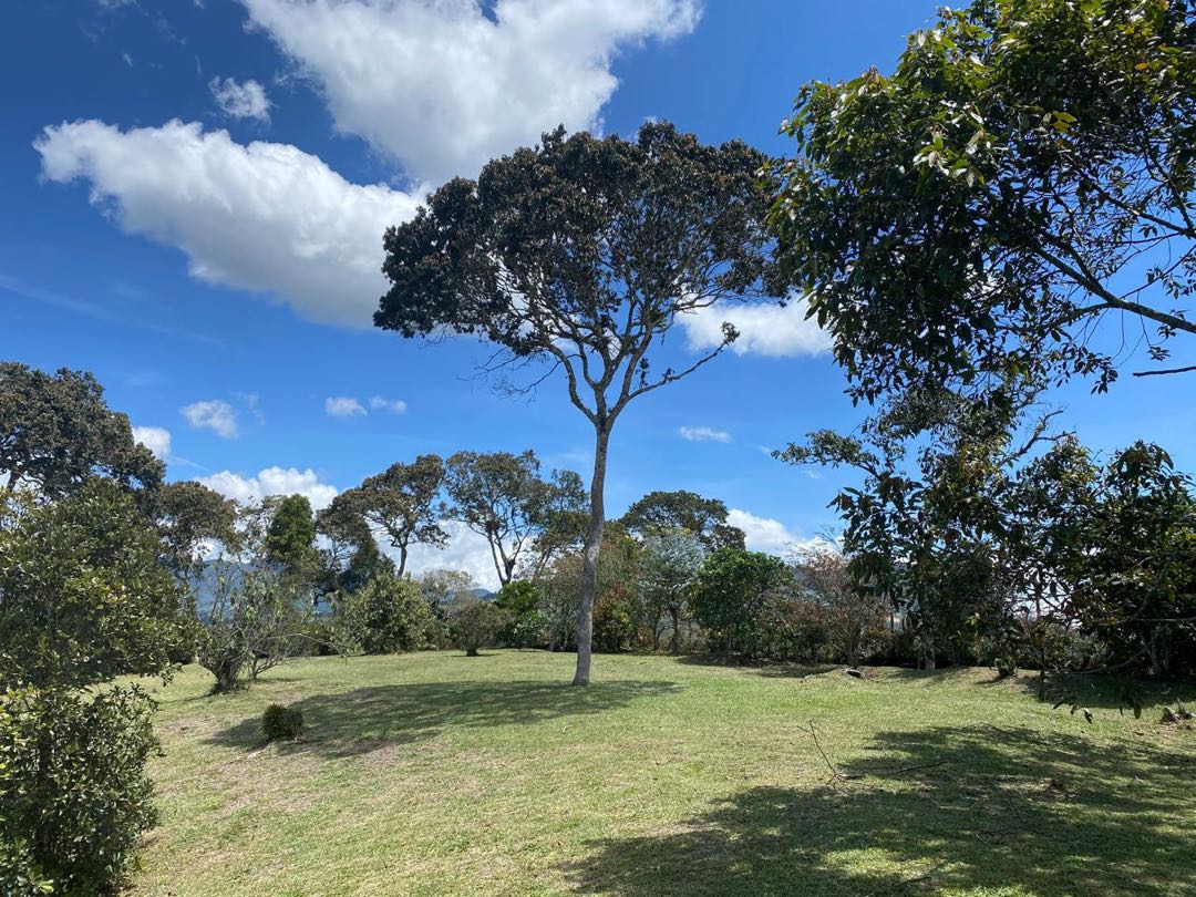 Land in Santa Elena (2926 m²) for Sale - 2