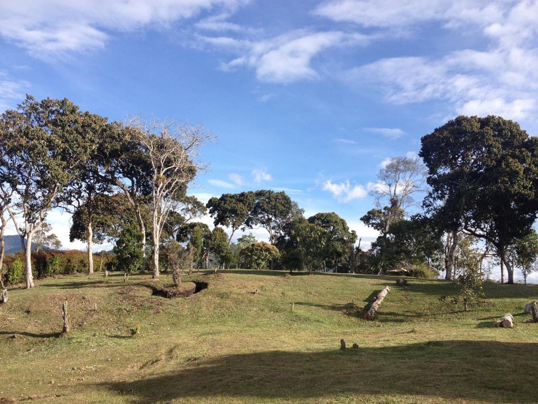 Land in Santa Elena (2926 m²) for Sale - 3