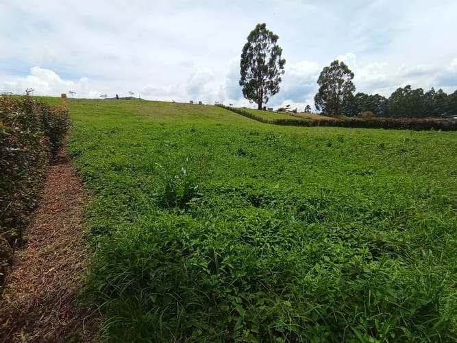 Lote en venta en Santa Elena, El Retiro, 2000 m² · foto 2 de 10