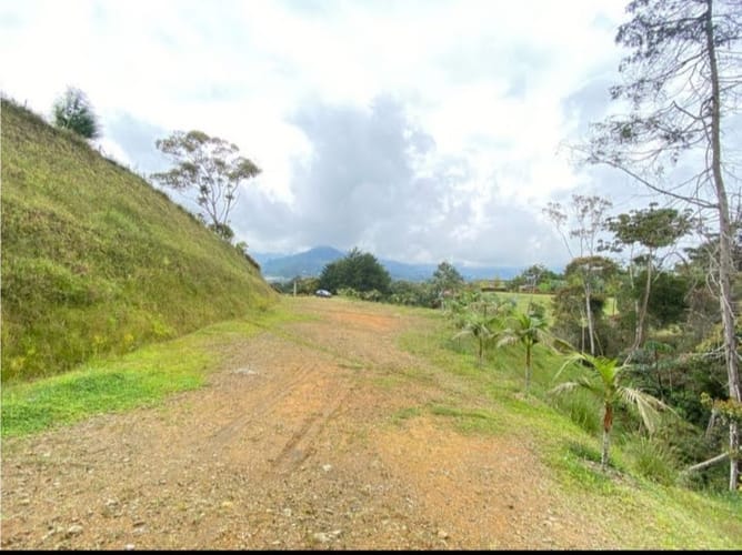 Lote en venta en Guamito, Rionegro, 4402 m² · foto 3 de 13