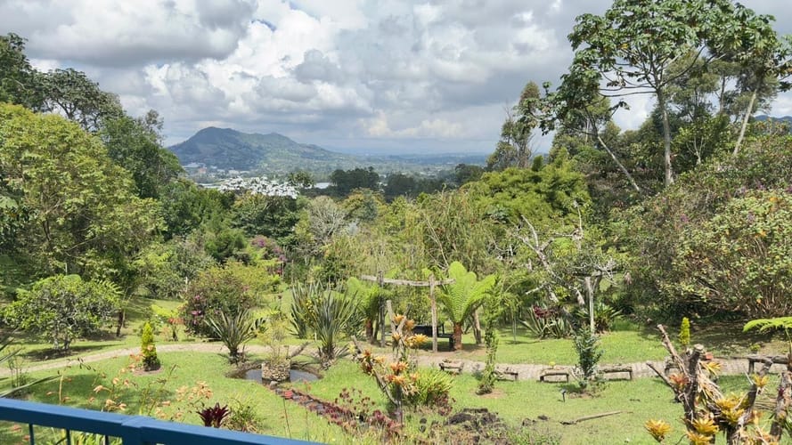 Finca en venta en Lomitas, La Ceja, 10000 m² · foto 2 de 9