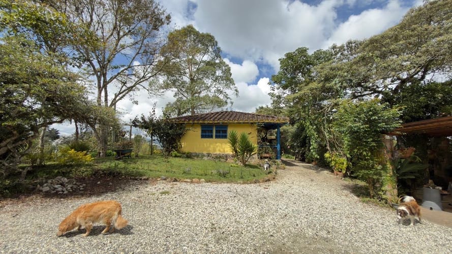 Finca en venta en Lomitas, La Ceja, 10000 m² · foto 3 de 9